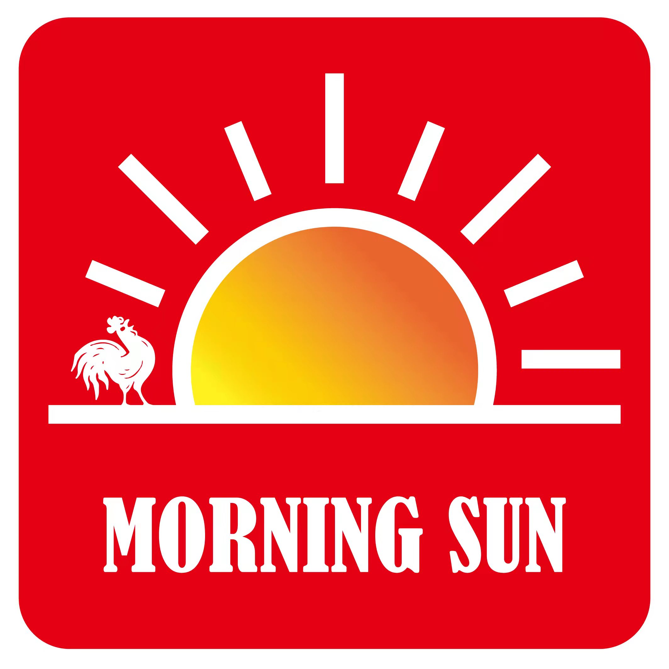 Pingnan Chensheng Garment Accessories Co., Ltd. logo