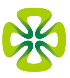 Company icon