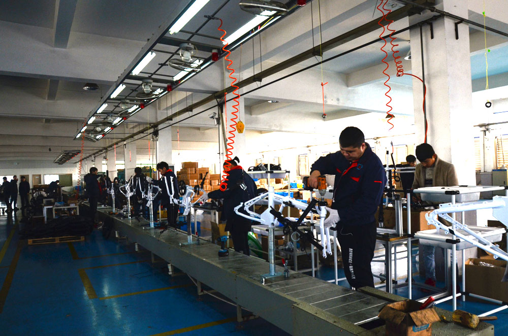 Changzhou Hoya High-Tech Co., Ltd. Folding Electric Bike