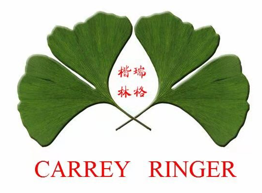Dongguan Linge Hardware Co., Ltd. logo