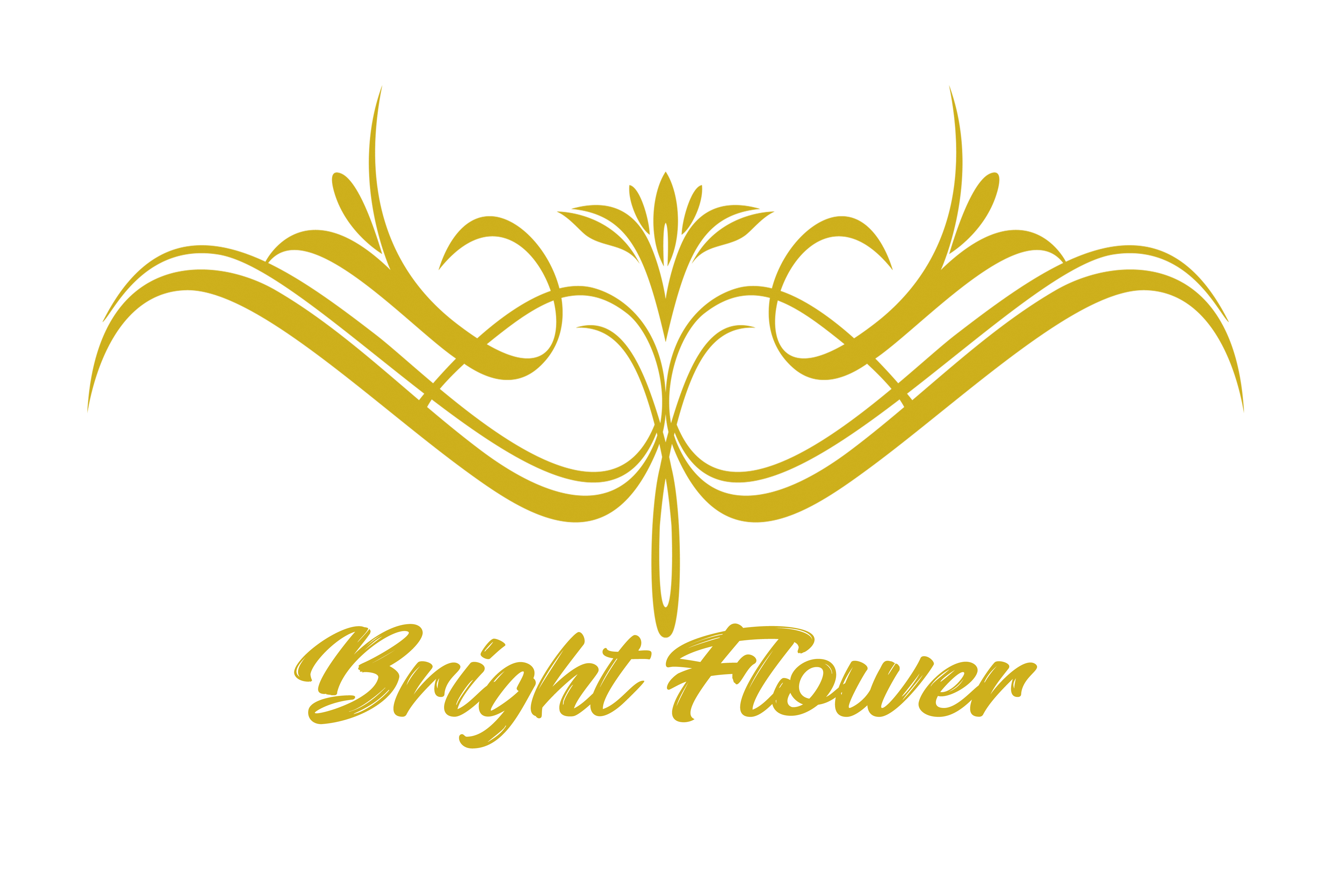 Ningbo Bright Flower Household Goods Co., Ltd. logo