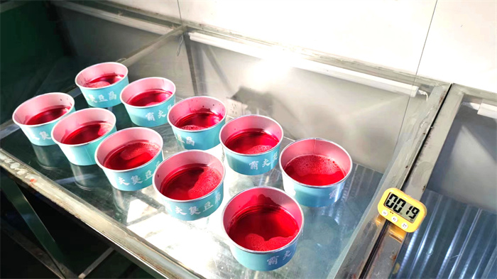 Hunan Limon Technology Co., Ltd. Disposable Coffee Cups