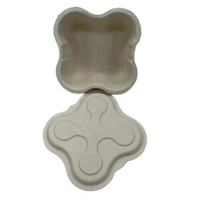 pulp wet pulp molding One time customization of paper pulp tray box manufacturer wet molded