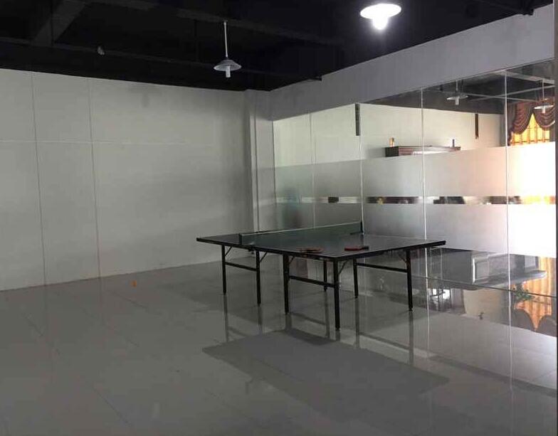 YIWU STAR PEAK COMMODITY CO.,LTD. gift plastic spoon