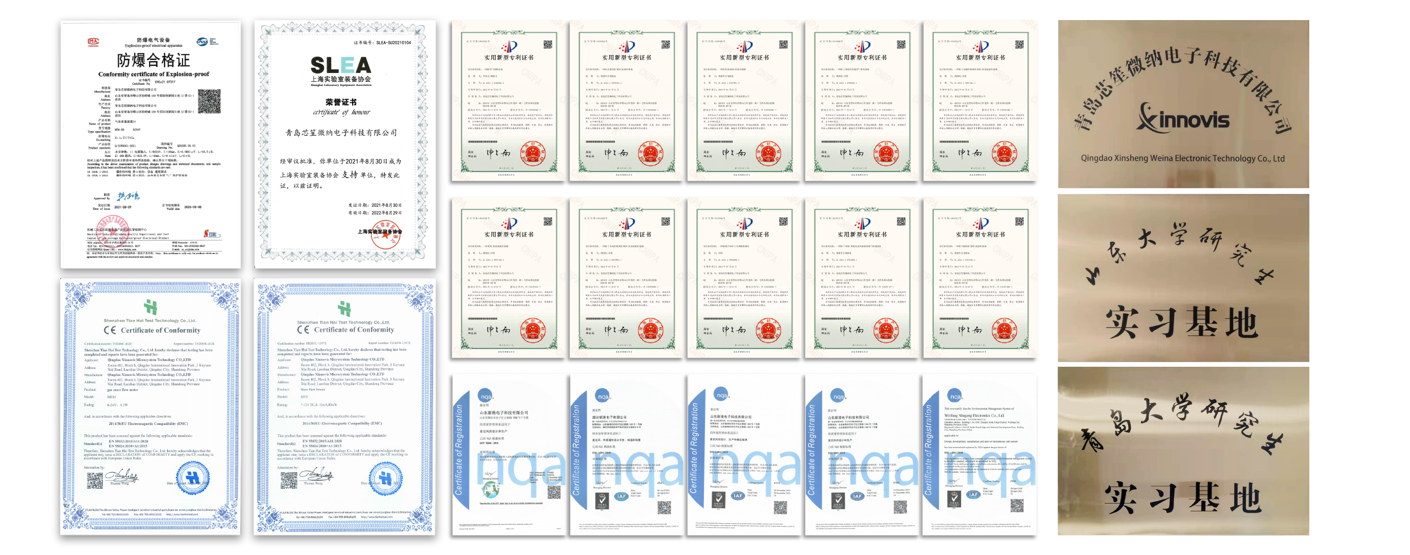 Qingdao Xinnovis Microsystem Technology Co., Ltd. Gas Mass Flow Controller