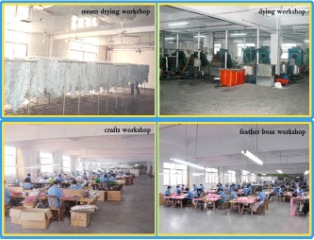 Cixi Horng Shya Feather Co., Ltd. Ostrich Feathers