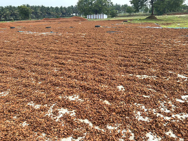 Trellis Horticulture International Private Limited Coco Peat