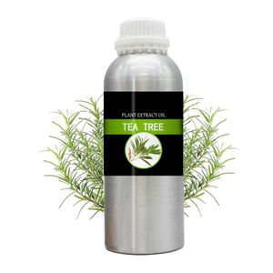 Pure Tea Tree Essential Oil Wholesale Tea Tree Oil for Skin Body Massage Oil Natural Aromatherapy