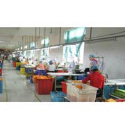 Jiaxing Longan Electronics Co., Ltd. Car Antennas