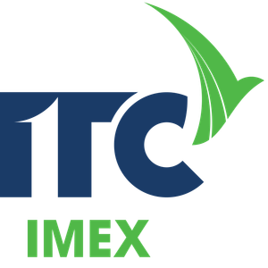 Company icon