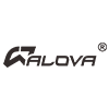 Company icon