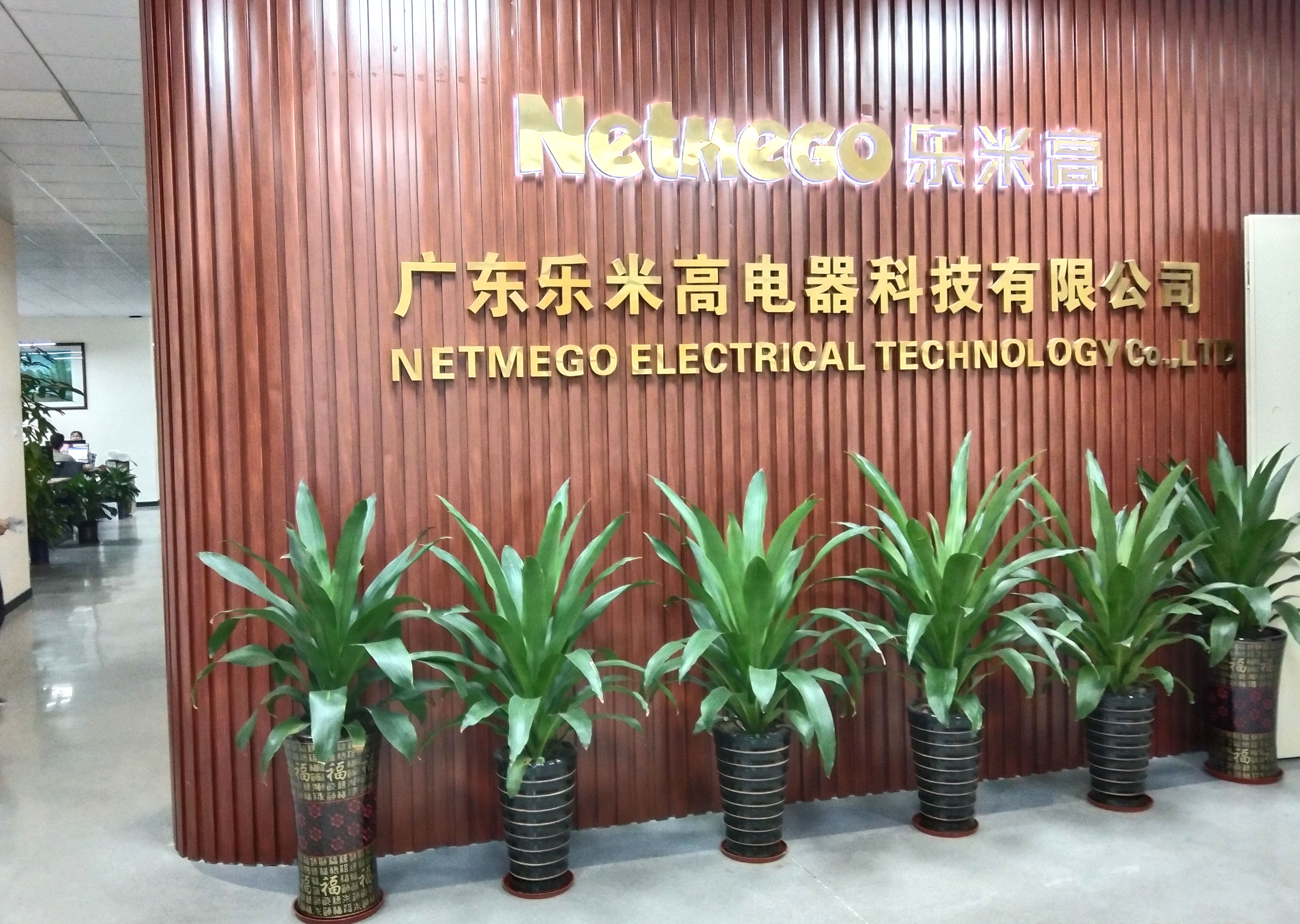 Guangdong Netmego Electrical Co., Ltd. Hand Mixer