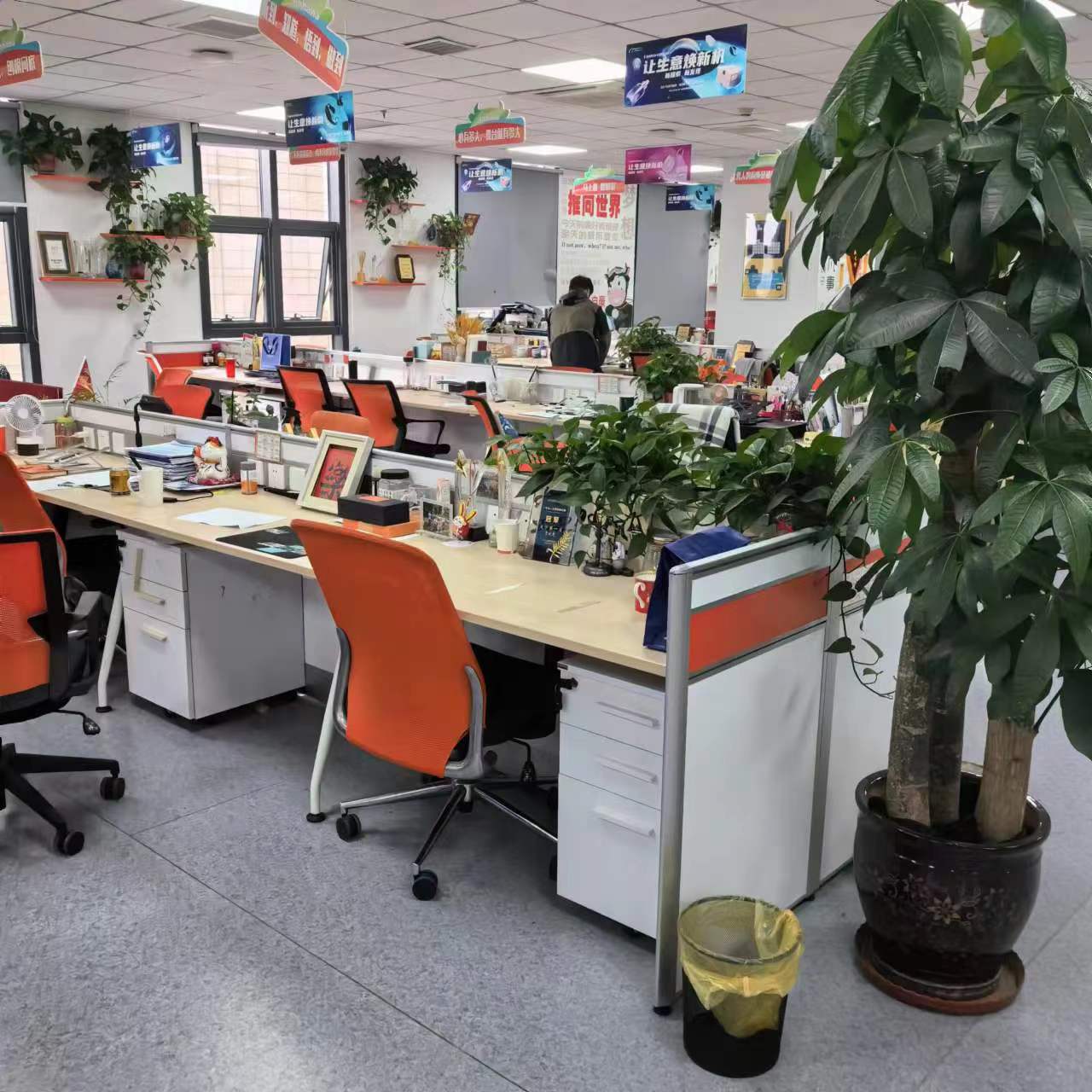 Shijiazhuang Jiujisheng Trading Co., Ltd. Decorative Materials