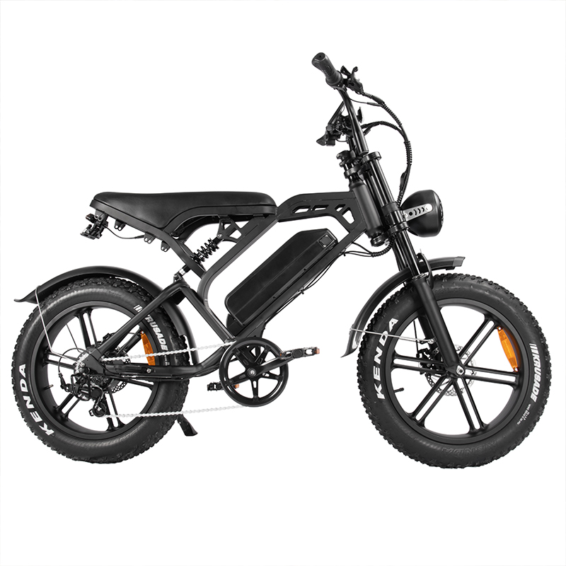 Shenzhen Qingmai Bicycle Co., Ltd. Electric Bicycle