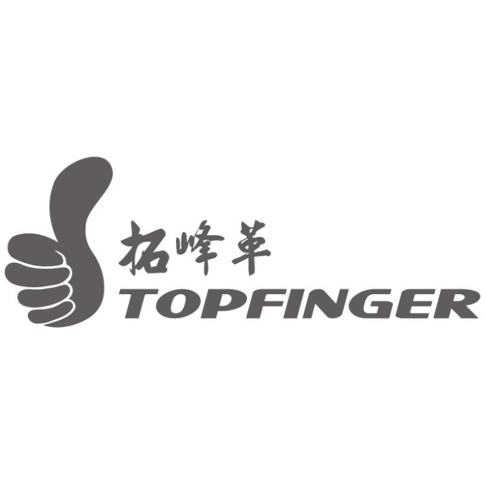 Topfinger Equipment (Shenzhen) Co., Ltd. logo