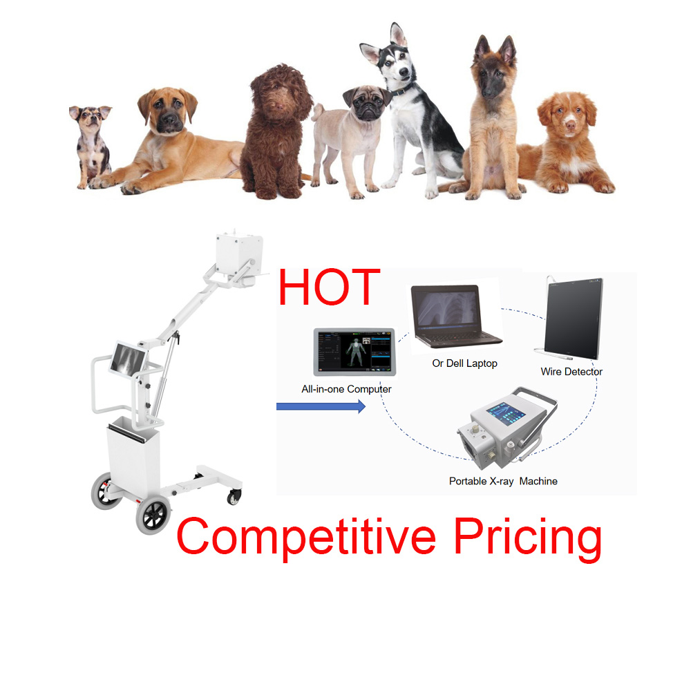 veterinary medical equipment animal digital xray vet x ray machine medical for hospital
