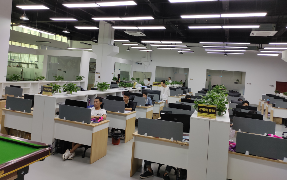 Zhanjiang Xiaer Technology Co., Ltd. vibrators