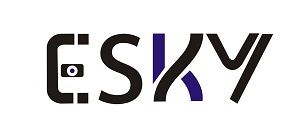 Company icon
