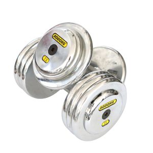 Gym Commercial Cast Iron Electroplating Dumbbells Fixed Pure Iron Solid Dumbbells