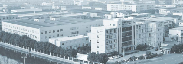 Ningbo Kaili Holding Group Co., Ltd. Disposable Razor