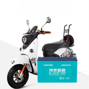 electric motor bike battery