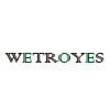 Xuzhou Troy Import and Export Trade Co., Ltd. logo
