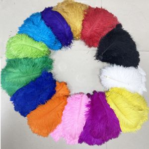 Carnival Ostrich Feathers/Plumes for Wedding Decorations and Dance Costumes 15-75cm