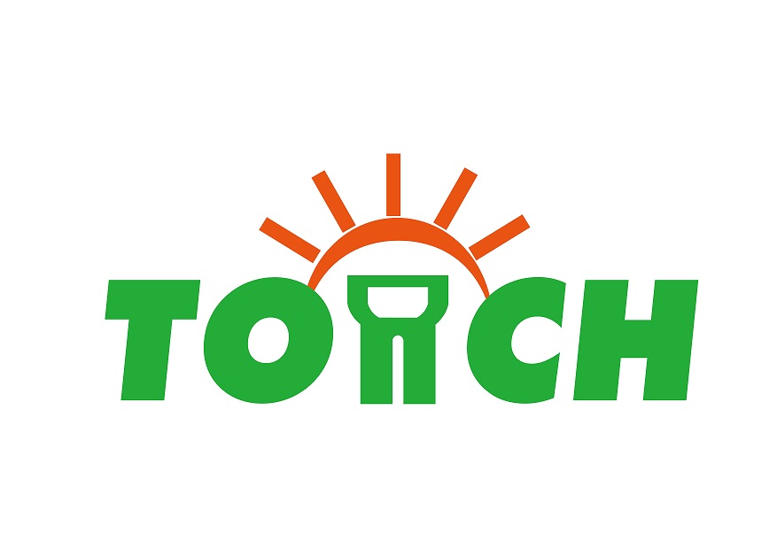 Yiwu Torch Electronic Co., Ltd. logo