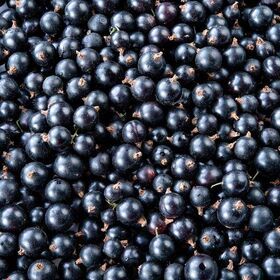 High quality frozen Black Currant (ribes nigrum) bulk packaging Russian origin 25kg kraft bag