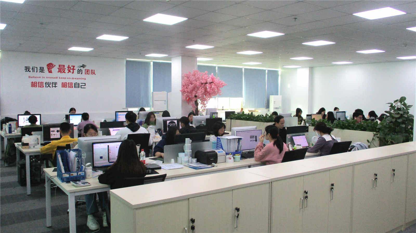 Shenzhen Vanplex Co., Ltd. factory image 3