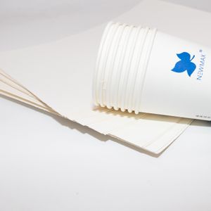 printing pe coated paper cup fan Raw Materials Paper Cup Fan Blank