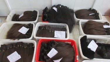 Guangzhou Aosun Hair Products Co., Ltd. Human Hair Wigs