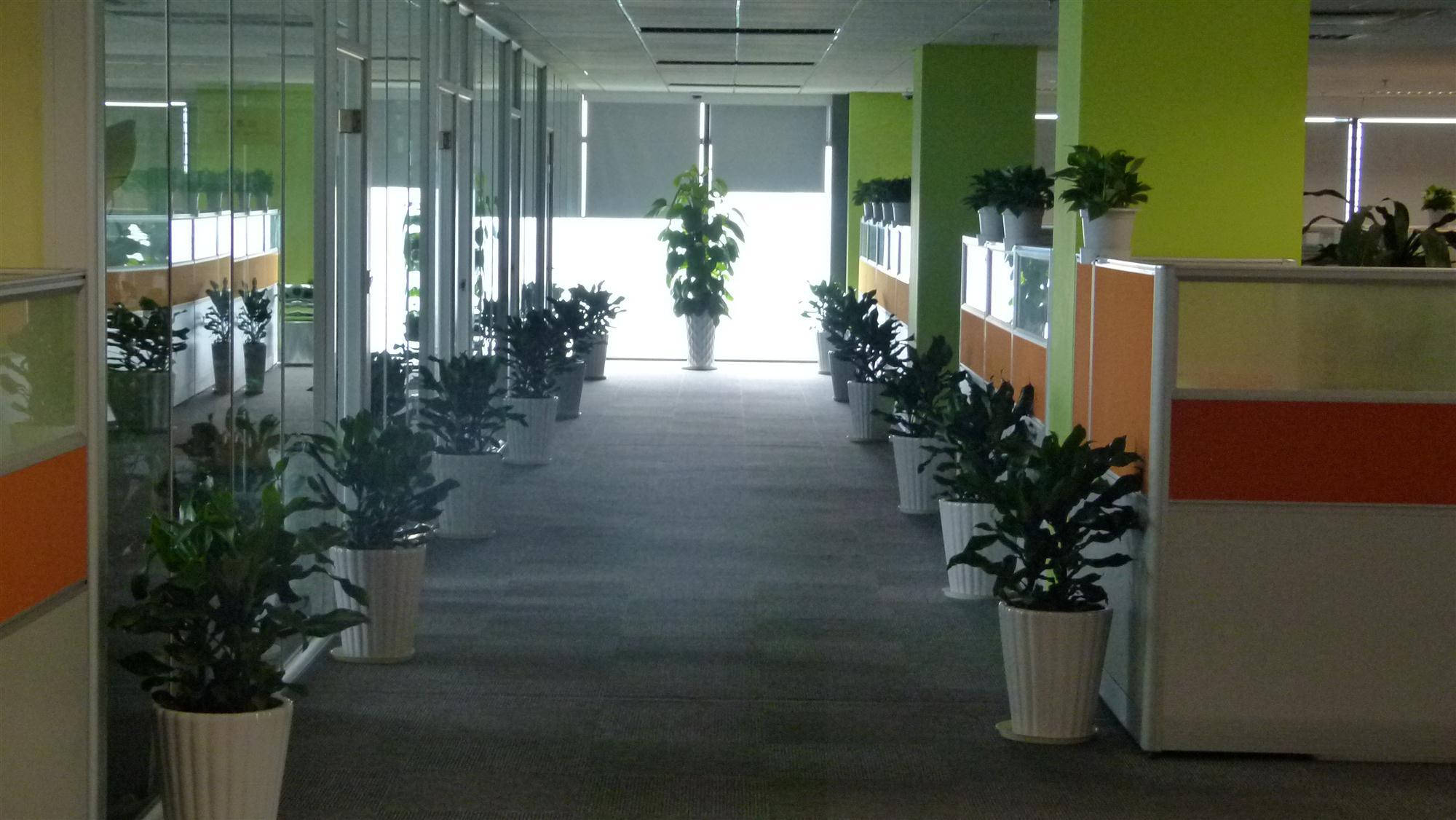 Xuzhou Redpro Fitness Co., Ltd. Weightlifting Barbells