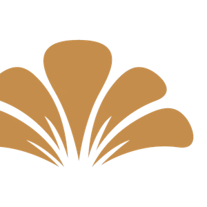 Company icon