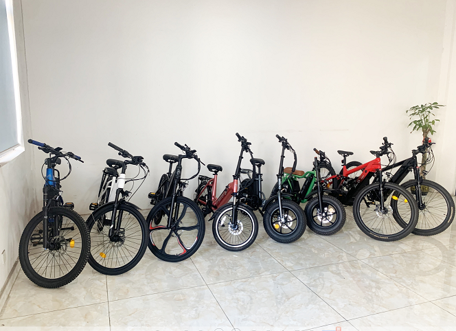 Jinhua Senro E-Bike Co., Ltd. Electric City Bikes