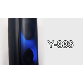 Temeisheng Karaoke dual 8inch cool light private pa speaker portable party speaker with sub Karaoke trolley speaker