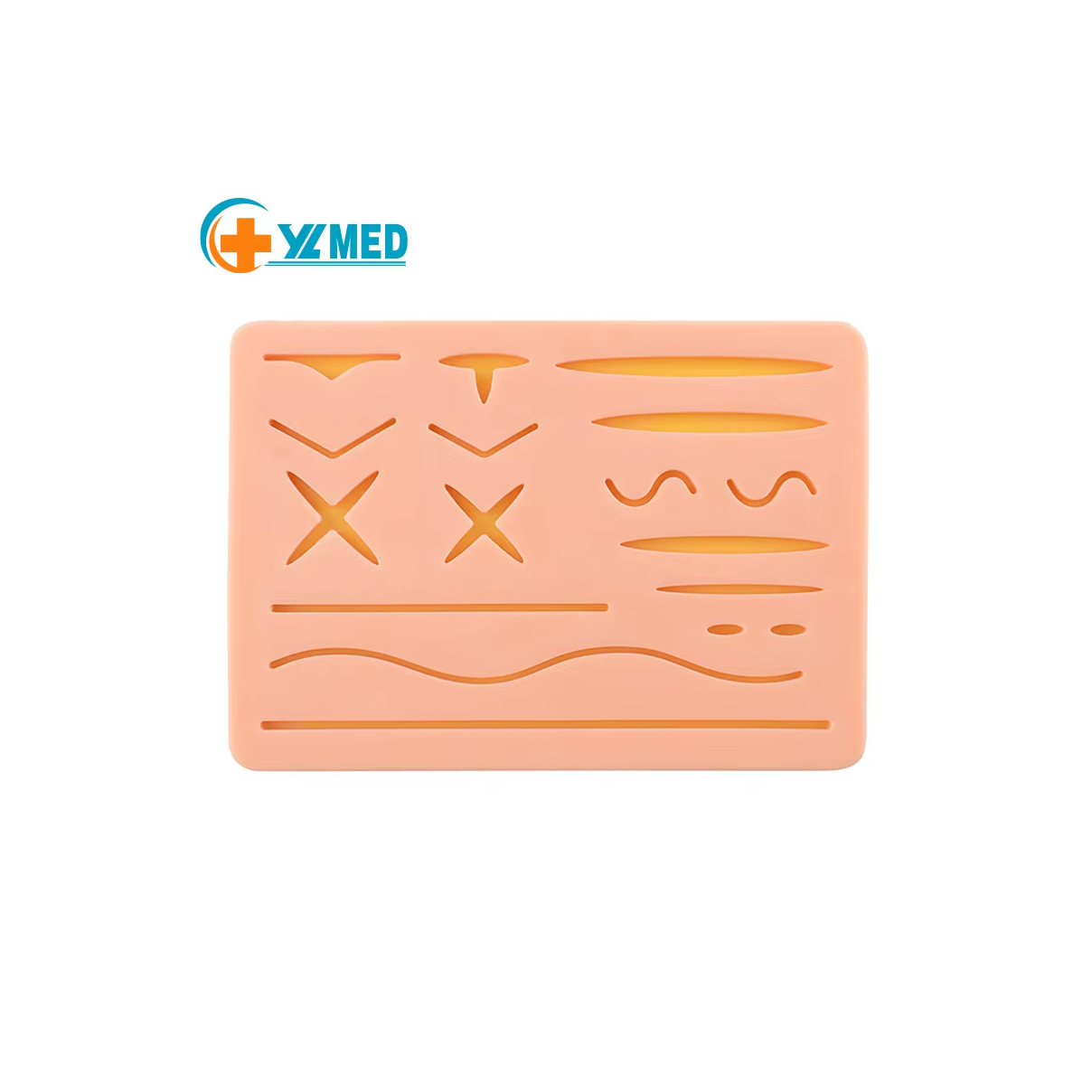 Scientific medical anatomy model human skin model new medical suture pad college teaching equipment
