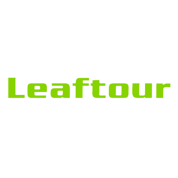Shenzhen Leaftour Travel Products Co., Ltd. logo
