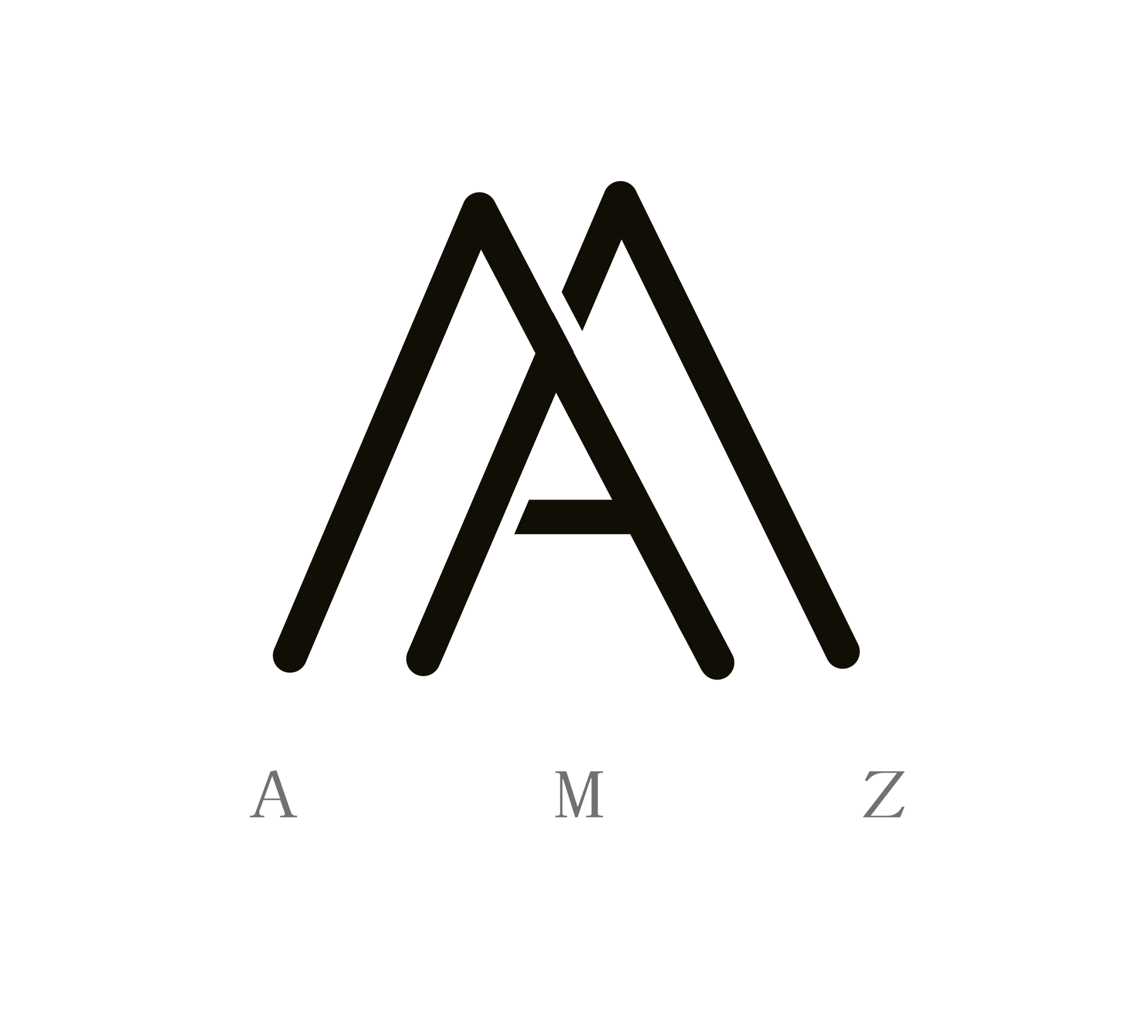 Huizhou Amazing Jewelry Co., Ltd. logo