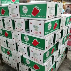 fresh Carrot Best price in Viet Nam 2022 , contact +84963818434