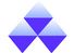 Company icon