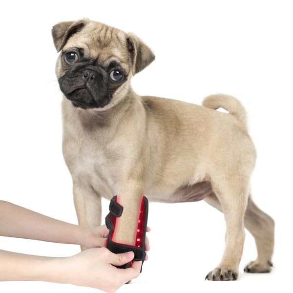 Anredar 850nm Infrared Red Light Therapy Pads for Dogs Pets Canine Tendonitis & Arthritis Pet Grooming Product