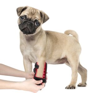 Anredar 850nm Infrared Red Light Therapy Pads for Dogs Pets Canine Tendonitis & Arthritis Pet Grooming Product