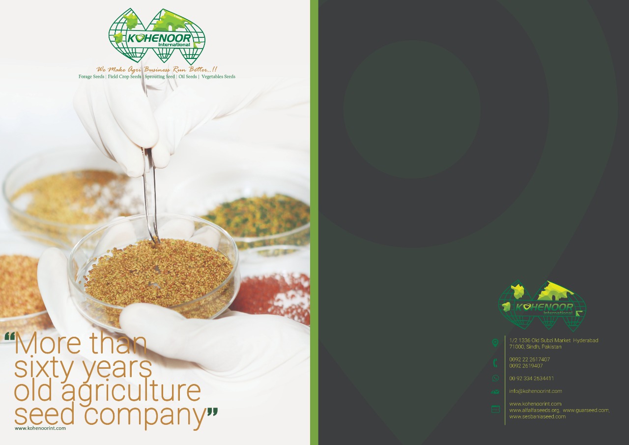 Kohenoor International Alfalfa Seeds