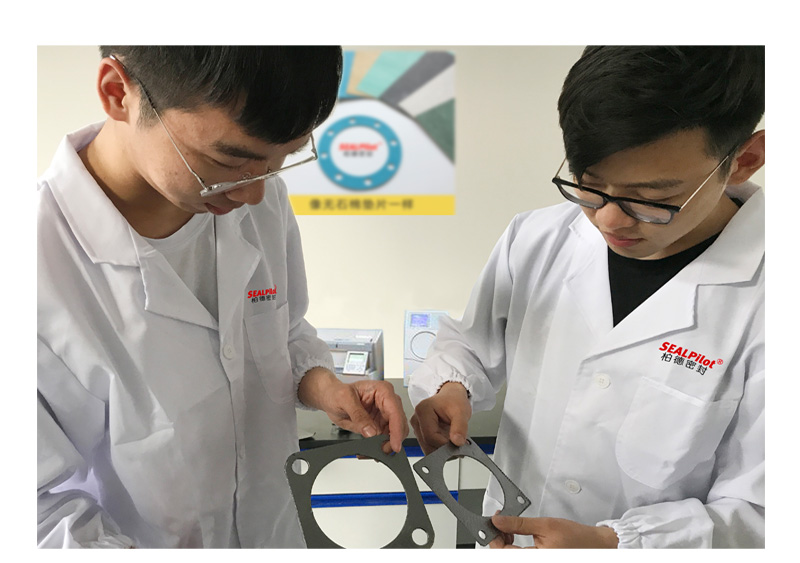 Hangzhou Sunshine Pilot Sealing Materials Co., Ltd. Metal Gasket