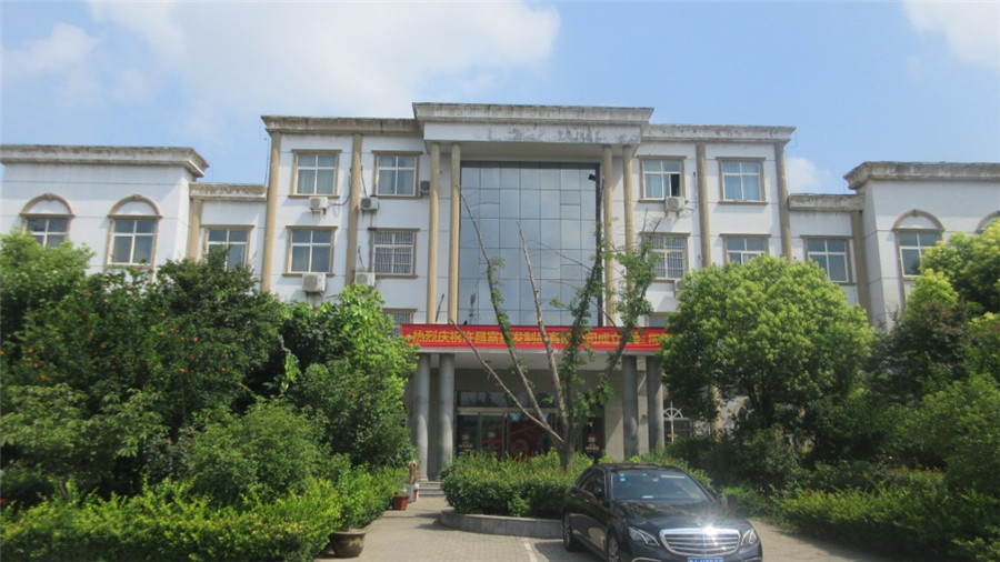 Xuchang Fuxin Hair Products Co., Ltd. Human Hair Lace Closure