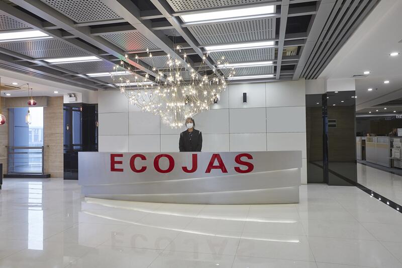Ecojas Lighting Co., Ltd. LED Linear Light
