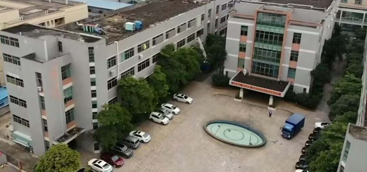 Changsha Kaiyang Electric Technology Co., Ltd. Vegetable Slicer Cutter