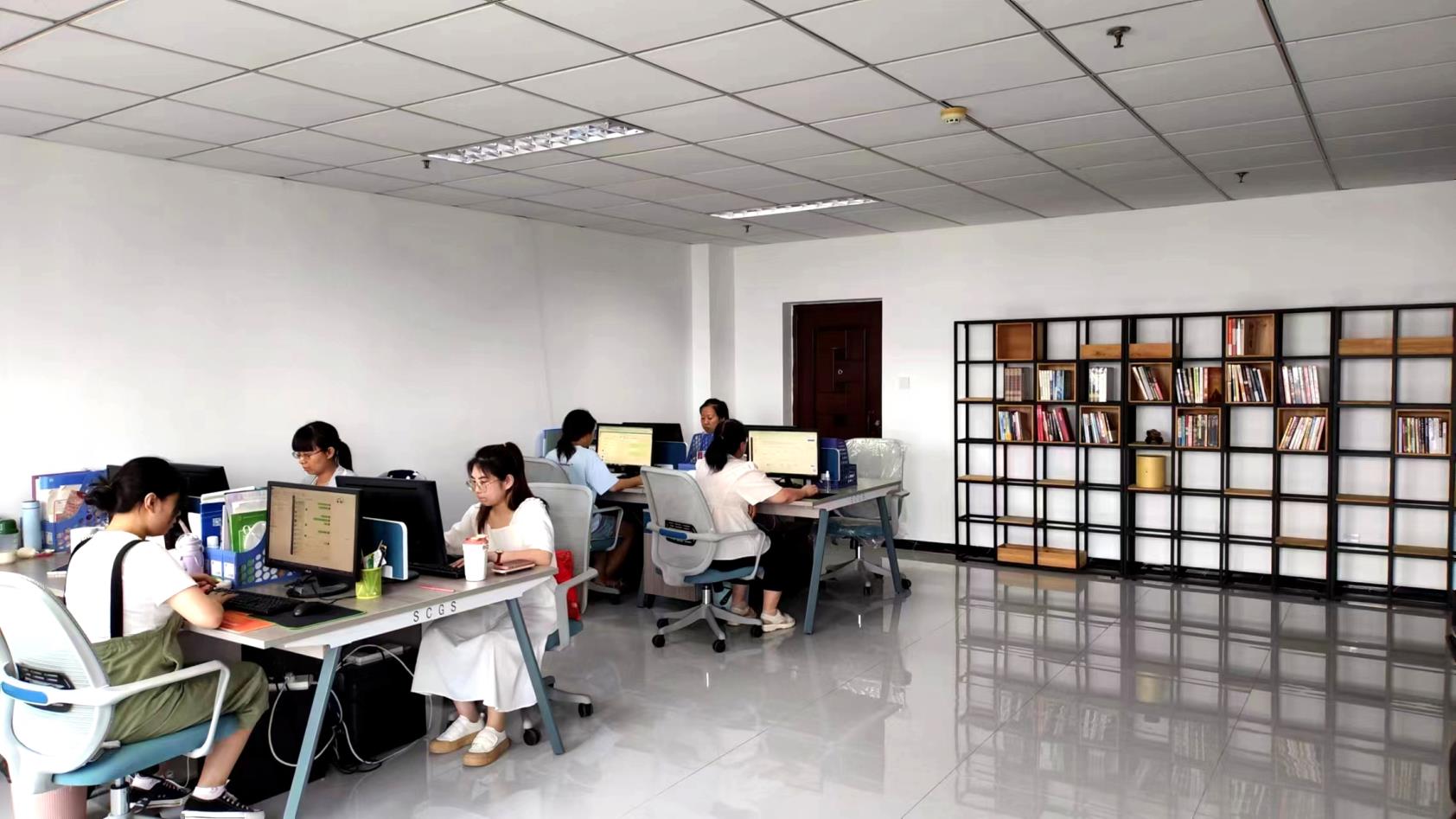 Shijiazhuang Lingjie Trading Co., Ltd. Doypack