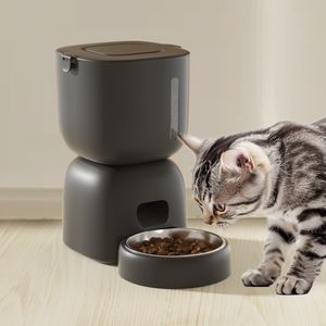 4 Meal Timed Dual Power Supply Automatic Pet Feeder BPA-Free 3L Dog & Cat Food Dispenser with Visible 3D Effect Quadrate Shape